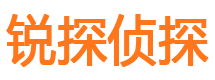 桃江外遇调查取证